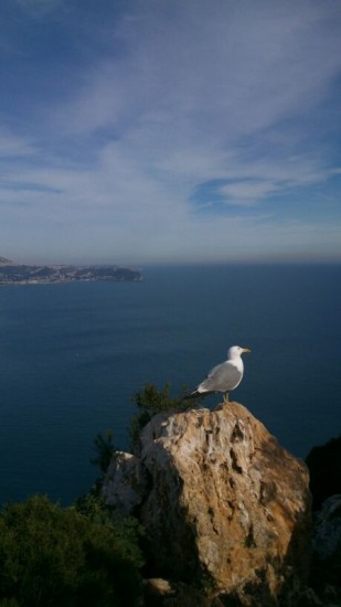 januarie 2013 2341